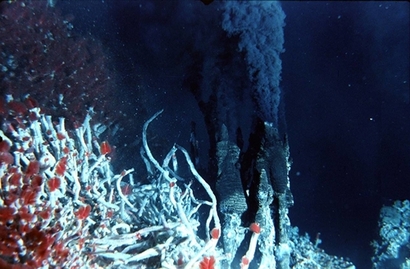 밴쿠버섬 인근 태평양 바닷속에 있는 후안 드 푸카 해령(Juan de Fuca Ridge)에 위치한 심해 열수구. 현재 많은 생물학자들은 깊은 바닷속 마그마와 지열로 인해 높은 온도와 충분한 미네랄 등 다양한 성분이 보충되고 있는 심해 열수구(Hydrothermal vents) 주변에서 최초의 생명체들이 합성되었을 수 있다고 추정한다. 사진=V. Tunnicliffe