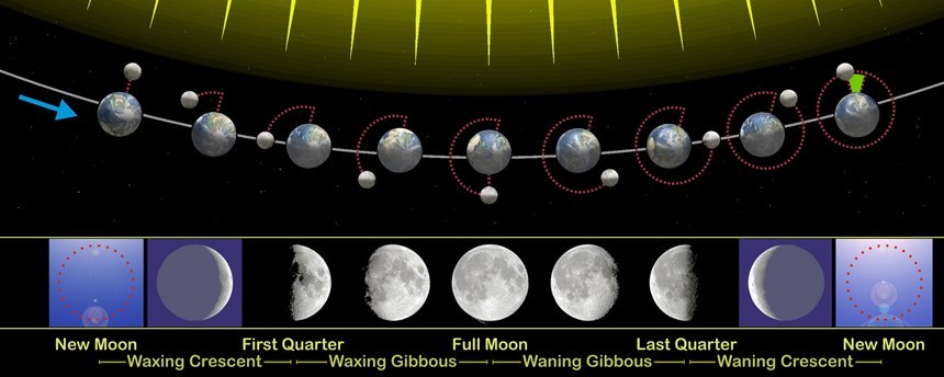 달이 지구 주변을 공전하는 동안 지구에서 보게 되는 달의 위상 변화. 달이 공전하는 동안 지구 자체도 태양 주변을 공전하기 때문에 달이 한 바퀴를 돌아 다시 태양-지구-달이 일직선에 놓이기 위해서는 달이 조금 더 살짝 돌아야 한다(그림 가장 오른쪽 녹색으로 색칠된 부분). 그래서 달이 공전 궤도상 같은 위치로 돌아오는 회귀월보다 태양-지구-달이 다시 일직선으로 돌아오는 데 걸리는 삭망월이 살짝 더 길다. 이미지=wikimedia commons