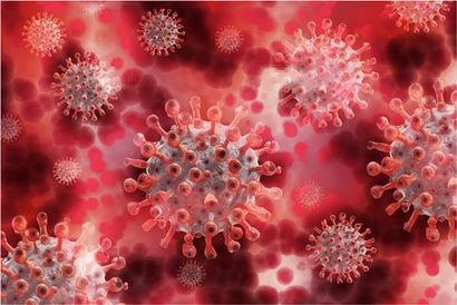 코로나19바이러스는 빨판을 장착한 징 모양의 스파이크를 우리 몸 1차 방어벽인 피부, 눈의 각막, 비강과 구강, 기관지와 폐포, 위와 장의 상피세포에 끼워 넣고 자신의 RNA를 세포 안으로 집어넣어 증식을 시도한다.